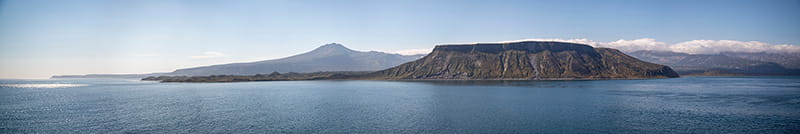 растения и живутные на Курилах