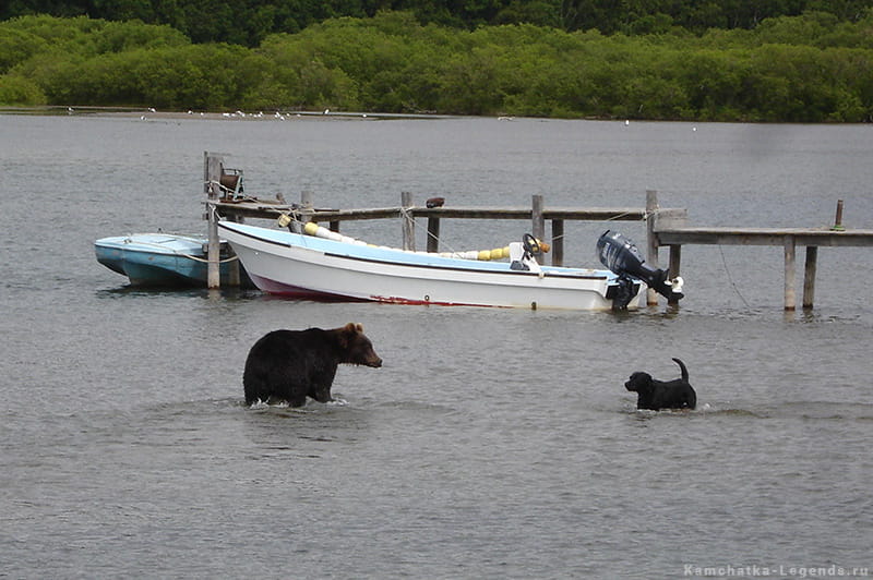 Курильское озеро