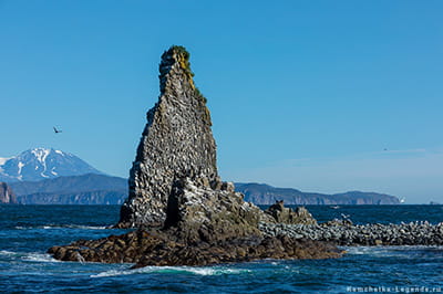 рифы у острова