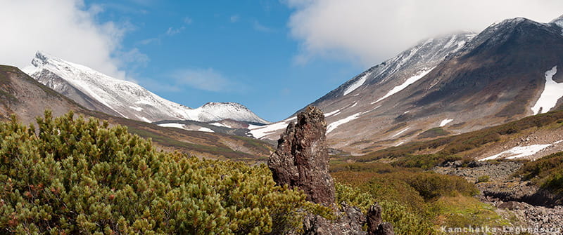 Источники в парке Налычево