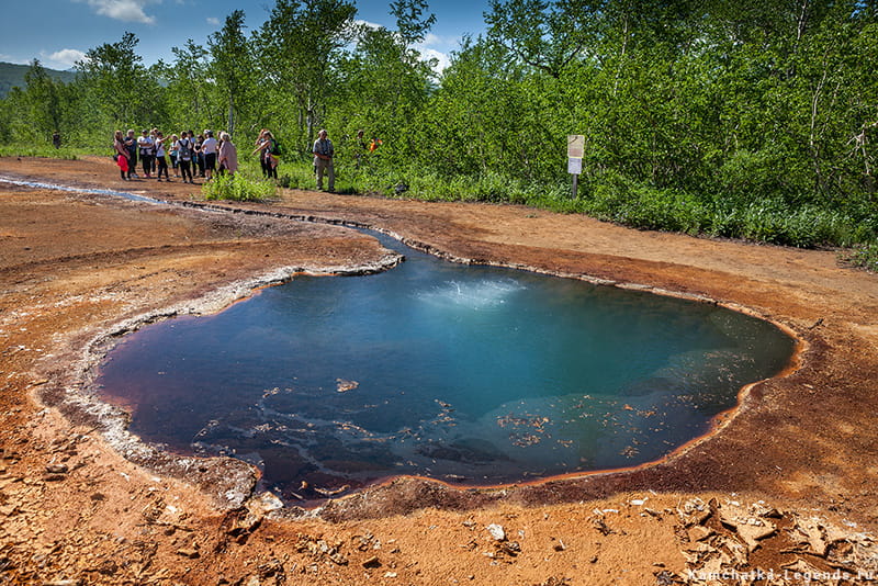 грифон Иванова