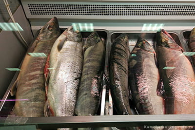 свежая рыба на прилавке