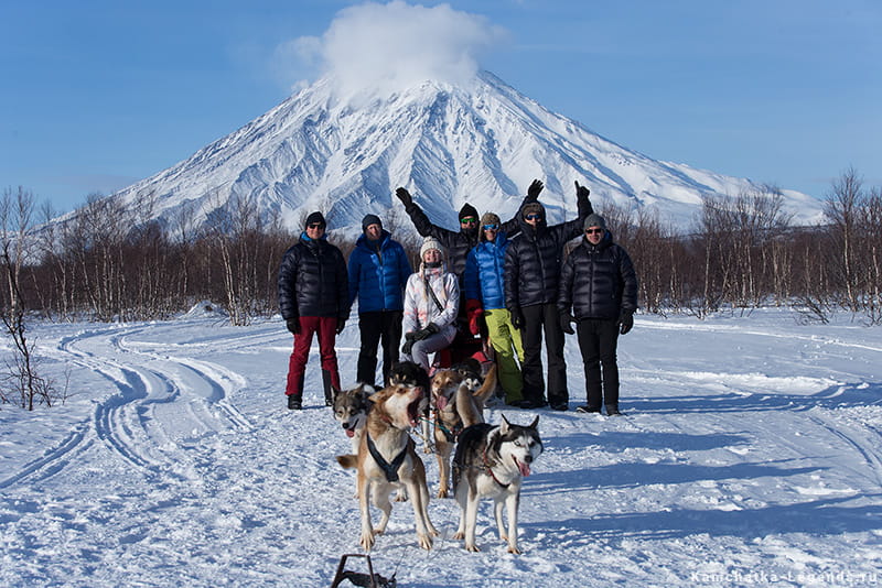 Снежные псы Камчатка