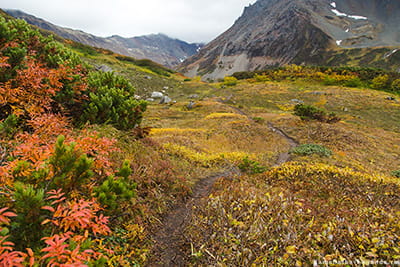 дорога на Вачкажец