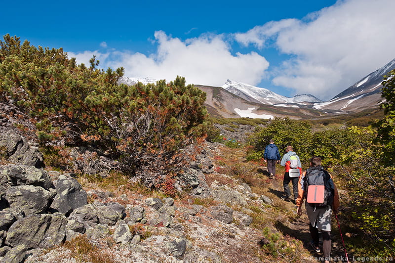 Вулкан Дзензур на Камчатке
