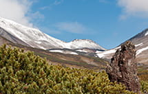 вулкан Дзензур