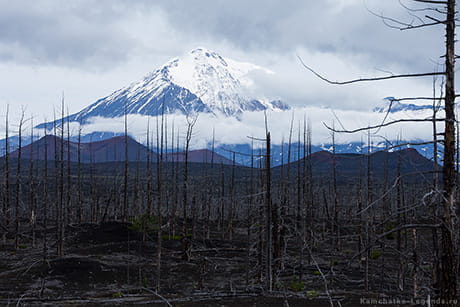 Классическая Камчатка