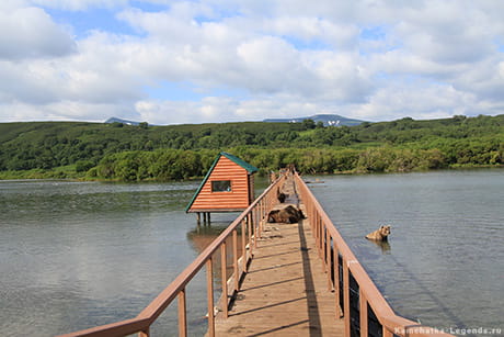 Загородка через реку Озерная