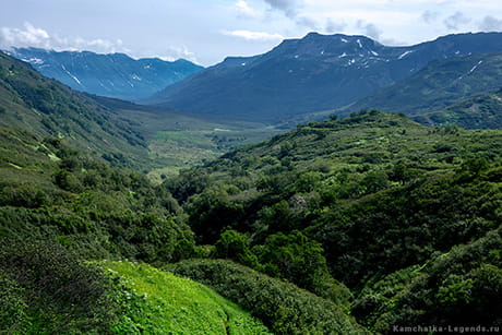 зеленые холмы