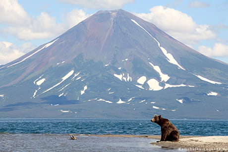 Мишки Курильского озера