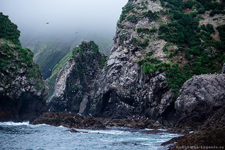 выход в океан
