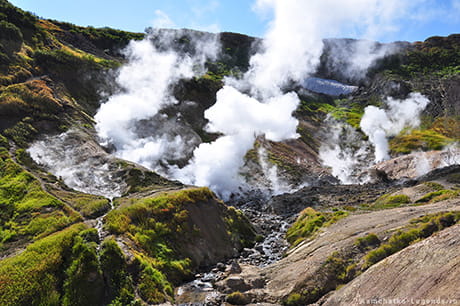 посещение водопадов