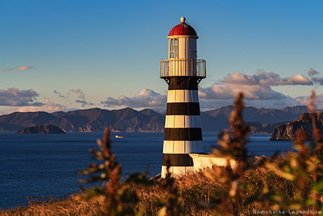 тур на Камчатку в декабре
