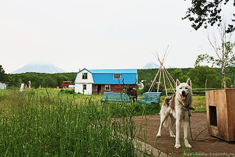 Эйвет стойбище на Камчатке