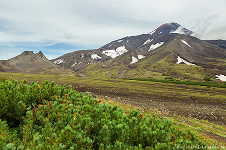 осенняя палитра тур на Камчатке
