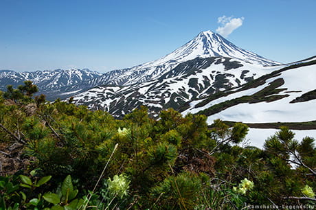 Дачные источники экскурсия Камчатка