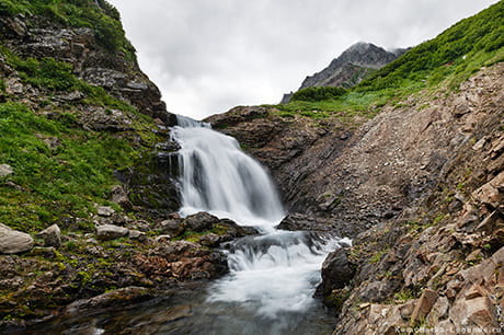 стоимость и цена Вачкажец
