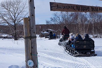 снежные псы Камчатка