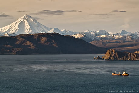 морские животные у берегов полуострова