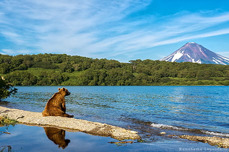 озеро с медведями на Камчатке