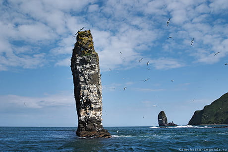 экскурсия по Авачинской бухте