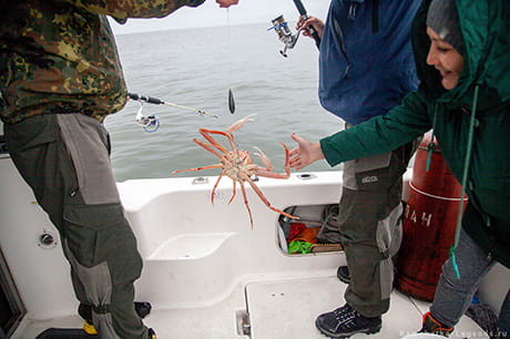 Морская прогулка к острову Старичков на Камчатке