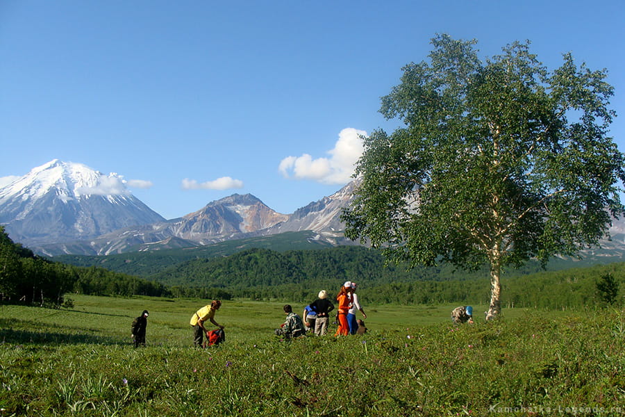 походы по Камчатке
