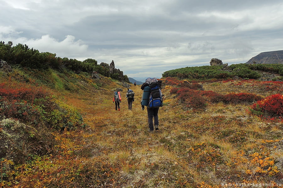 повстречали медведя в походе с рюкзаками
