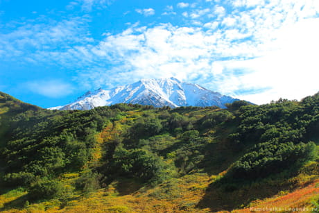 Красивые виды