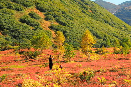 Красивые виды