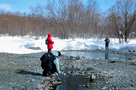 Малкинские источники зимой