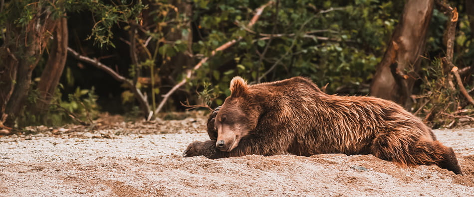 озеро Двухюрточное